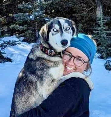 a dog standing in the snow